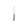 Steak Knives 18/0 Stainless Steel Caspian Steak Knives (Set of 12) by Oneida