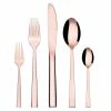 30-Piece Rose Gold 18/8 Stainless Steel Flatware Set Knife Fork Spoon Set (Service for 6) by Velaze